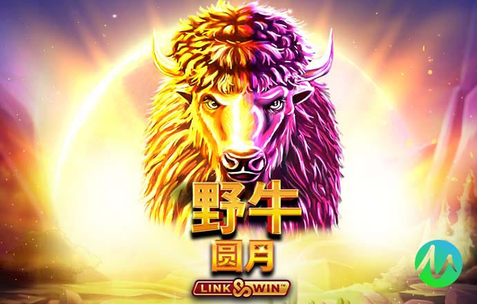 百博体育app官网入口